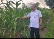 Kalapas Pohuwato Pastikan Program Kemandirian Bidang Pertanian berjalan Efektif