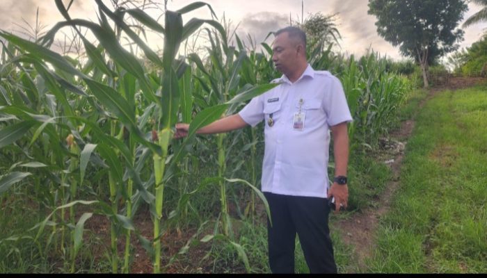 Kalapas Pohuwato Pastikan Program Kemandirian Bidang Pertanian berjalan Efektif