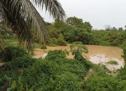 PETI di Hulu, Derita di Hilir: Palopo Menjerit Diserbu Sedimentasi Emas Ilegal