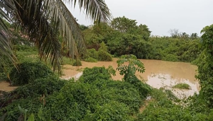PETI di Hulu, Derita di Hilir: Palopo Menjerit Diserbu Sedimentasi Emas Ilegal